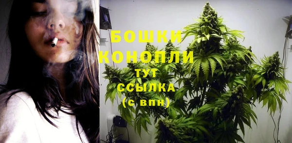 ПСИЛОЦИБИНОВЫЕ ГРИБЫ Козельск