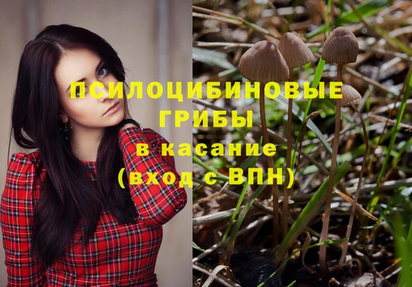 Альфа ПВП Киреевск