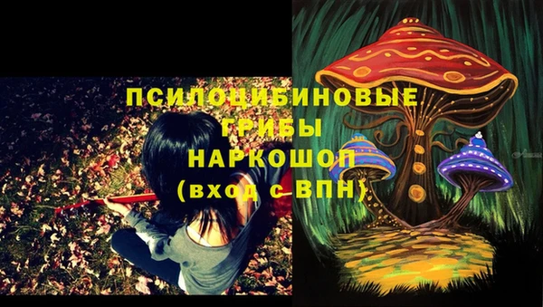 твердый Карталы