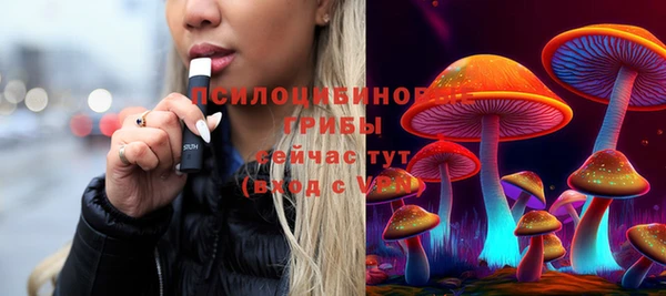 ПСИЛОЦИБИНОВЫЕ ГРИБЫ Козельск