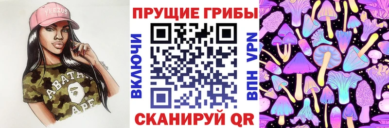 Псилоцибиновые грибы Psilocybine cubensis  цена   omg зеркало  Новый Оскол 